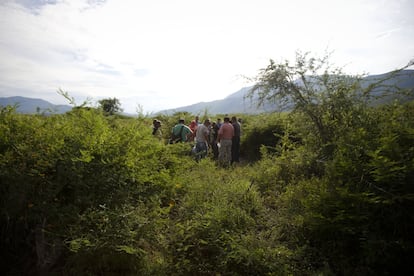 Los cerros de Iguala han sido durante a&ntilde;os el pat&iacute;bulo de los Guerreros Unidos, un cartel local con la polic&iacute;a local y el alcalde de Iguala. Aqu&iacute; tra&iacute;an a sus v&iacute;ctimas que, tras ser obligadas a cavar la que iba a ser su tumba, eran ejecutadas. 