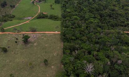 Fronteira entre uma fazenda, à esquerda, e o Território Indígena Suruí.