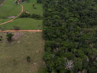 Fronteira entre uma fazenda, à esquerda, e o Território Indígena Suruí.