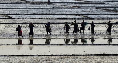 Mulheres indianas pescando em Guwahati