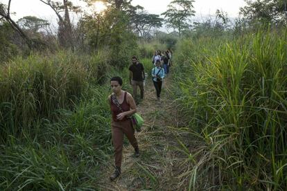 Un grupo de ciudadanos venezolanos caminan por un sendero sin marcas entre los altos arbustos para colarse en Colombia y asistir al concierto de Venezuela Aid Live en el lado colombiano de la frontera.