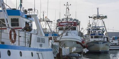 Barcos en el puerto de Barbate (C&aacute;diz).