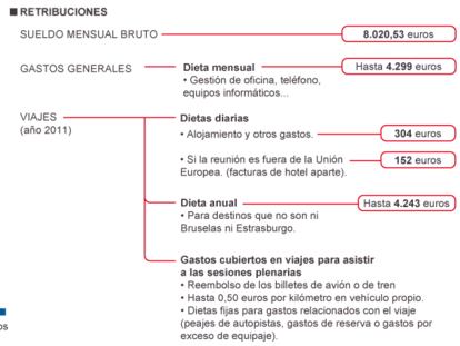 El perfil del parlamentario en esta legislatura