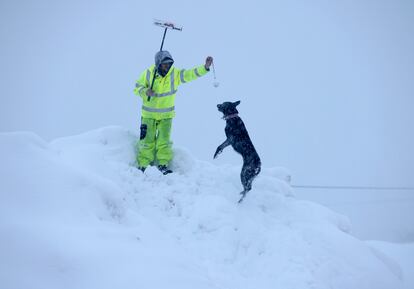 Alex Hereford plays with his friend's dog Dingo on top of a snow pile in downtown Truckee, Calif., on Saturday, March 2, 2024.