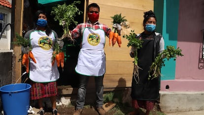 Agricultores de la cuenca del Río Alto Cuilco de San Marcos, durante la pandemia.