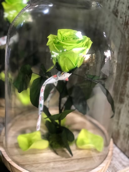 Una de las flores de Fernando.