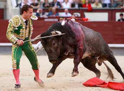 El diestro Rafael Rubio, <i>Rafaelillo,</i> es desarmado por su segundo toro, ayer en Las Ventas.