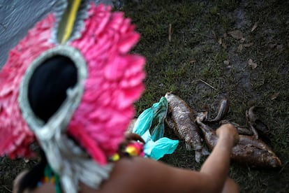 Há três anos, o desastre de Mariana (também causado pelo rompimento de uma barragem de mineração da Vale) mudou a vida de 126 famílias do povo Krenak, que vivem espalhadas em sete aldeias às margens do Rio Doce. "Antes do desastre de Fundão, pescavam, caçavam e viviam abastecidos pela água do rio. Com a poluição gerada pela lama de rejeitos, os Krenak se veem hoje dependentes de recursos estatais e da alimentação comprada em supermercados", recorda o Conselho Indigenista Missionário, da CNBB, que teme pelo futuro agora dos Pataxó Hã-hã-hãe. Nesta segunda, o povoado encontrou vários peixes e outros animais mortos no rio Paraopeba.