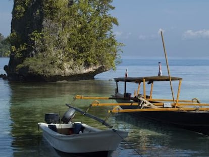 Sulawesi, la isla donde la muerte es una fiesta