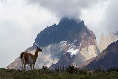Parque Nacional Torres del Paine. Parte de las áreas protegidas por la autoridad de Medio Ambiente de Chile