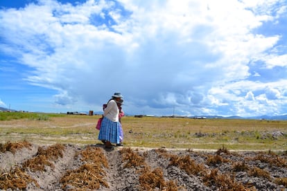 En las zonas rurales de Bolivia, casi la mitad de la población carece de agua potable. Junto con la falta de saneamiento, es uno de los grandes retos de aquí a 2025 en el país. En la imagen tres 'cholitas', como se conoce a las bolivianas que usan las vestimentas características de esta zona andina, caminan por la población de Huarialtaya, en el municipio de Pucarani, en el Altiplano. 
