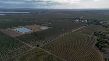 Vista aérea de la finca Carrascalejo, de Miguel Báez 'El Litri', a las afueras de Sevilla, este miércoles.