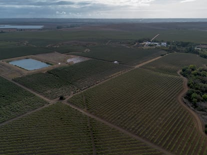 Vista aérea de la finca Carrascalejo, de Miguel Báez 'El Litri', a las afueras de Sevilla, este miércoles.