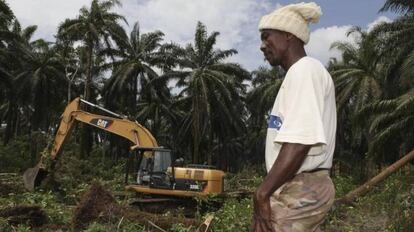 Destrucción de la selva para proyecto agroindustrial en el norte de Sierra Leona.