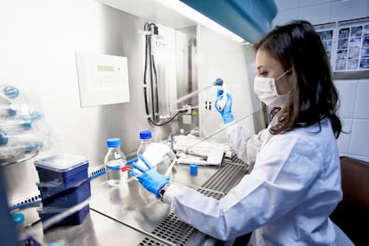 Biosafety cabin in lab