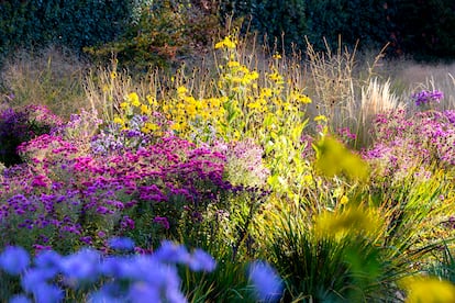Un jardín ha de tener un director de orquesta que decida qué tareas y qué plantas han de tener protagonismo.