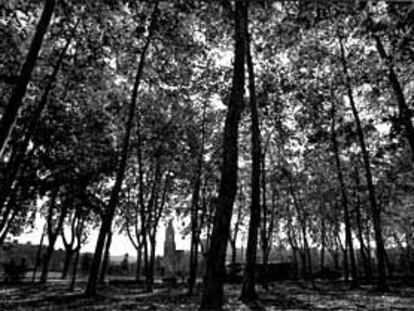 La excepcional Devesa, el paraíso del que todo gerundense guarda algún recuerdo infantil.