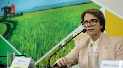 Tereza Cristina, ministra da Agricultura.