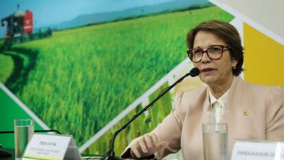 Tereza Cristina, ministra da Agricultura.