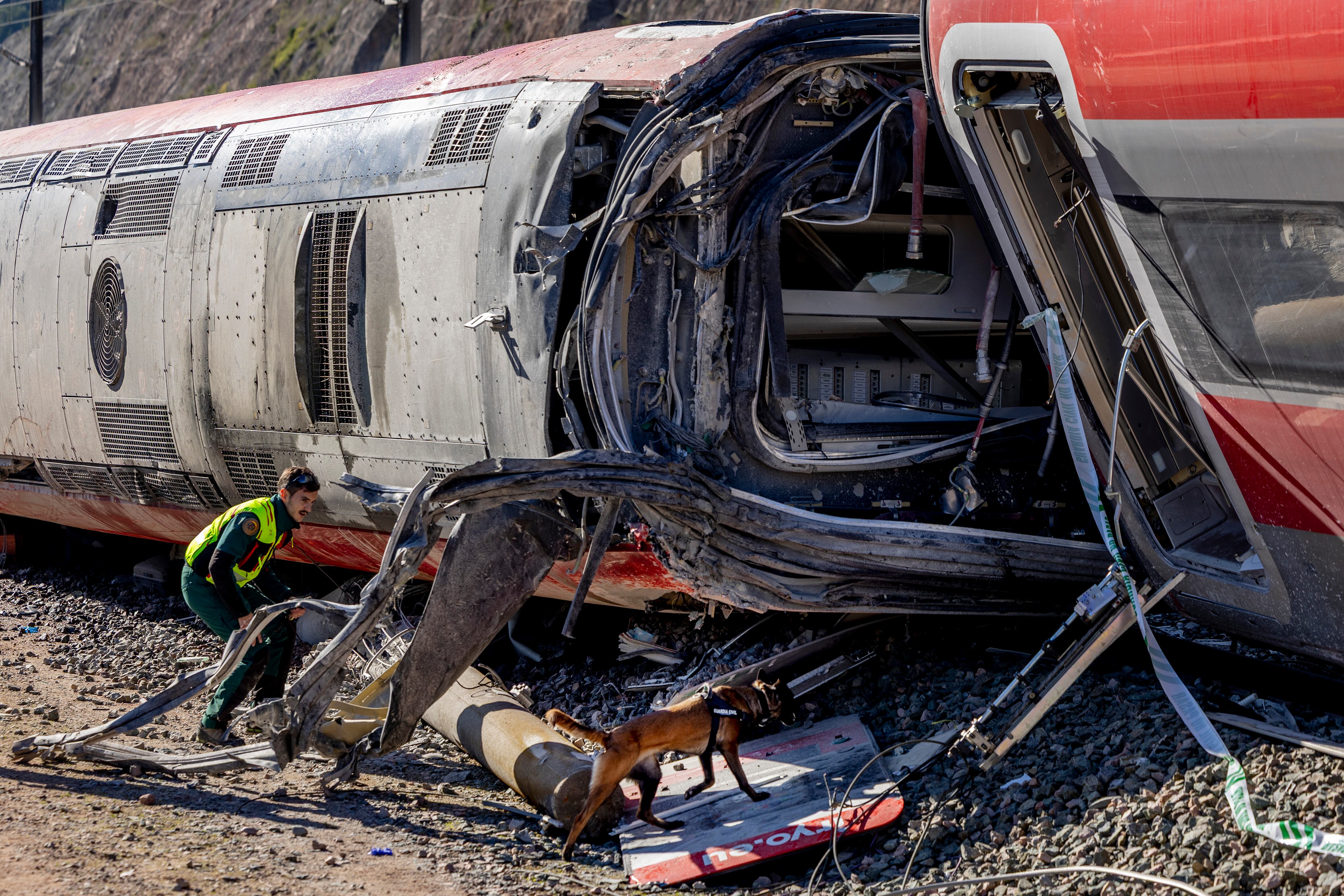Un agente de la Guardia Civil trabaja en uno de los vagones del tren Iryo con una perrita de nombre Cleo.