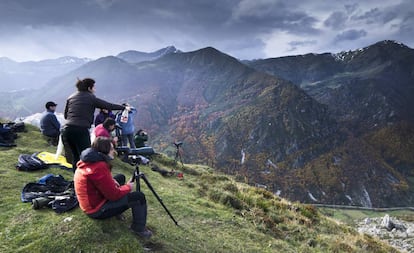 Un grupo observa osos en Somiedo (Asturias). 