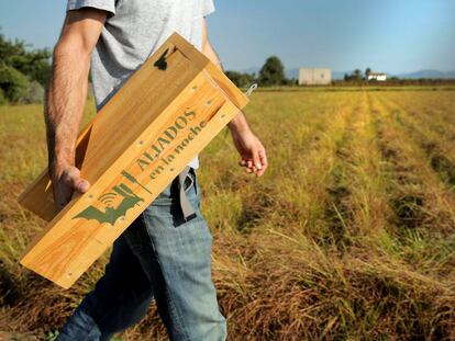 Un agricultor coloca en un campo una de las cajas que ofrecen refugio a los murciélagos.