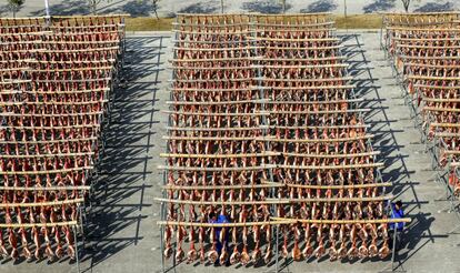 Secado de jamones en una empresa de Zhejiang, provincia del este de China. Bao Kangxuan/VCG via Getty Images)