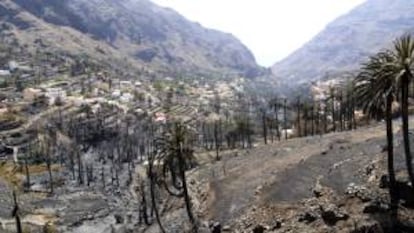 Imagen de ayer de la zona de Guada, en la cabecera del barranco de Valle Gran Rey, calcinada por el incendio que afecta a La Gomera.