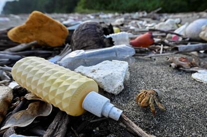 A hermit crab picks its way through plastic litter on the Pacific island of Gorgona in Colombia.