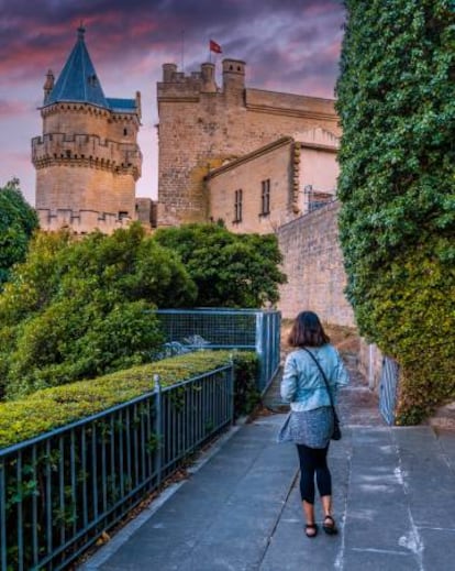 Exterior del Palacio Real de Olite (Navarra).