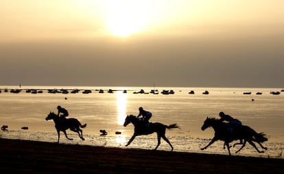 SERIE DE OPINIÓN: Días de verano (II). 
ENTREGA: JUEVES
PIE: Carrera de caballos en Sanlúcar de Barrameda (Cádiz), 8 de agosto de 2010. / Alejandro Ruesga