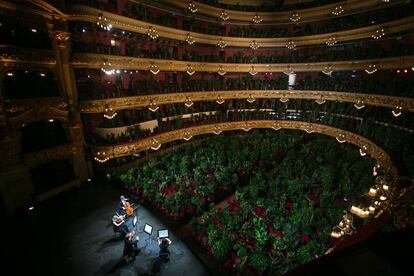 El artista Eugenio Ampudia inicia la actividad en el Liceu con un concierto a cargo de un cuarteto de cuerda para un público formado por más de dos mil plantas, que luego serán entregadas a personal sanitario del Hospital Clínico de Barcelona.