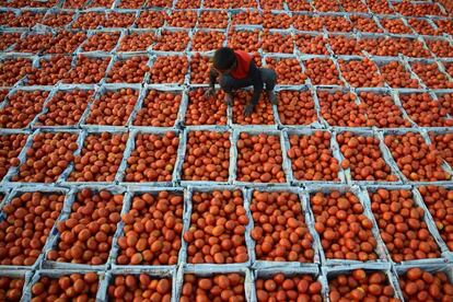 Un joven indio trabaja en un mercado de verduras, en Jalandhar.