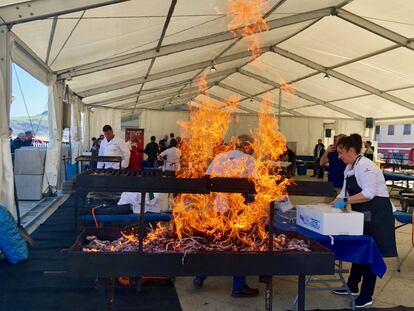 ARRANCANDO EL FUEGO CON SARMIENTOS / CAPEL