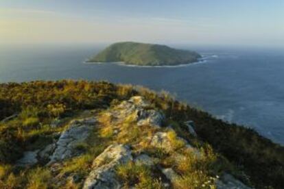 Vista de la pequeña isla de Onza desde Ons (Pontevedra).