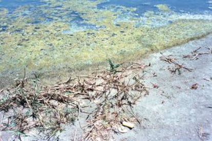 Desde 2016, la laguna ya no es azul, sino verdosa y no invita al baño.