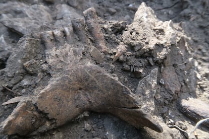 Discovery of Thorin's jawbone in Mandrin's Cave.