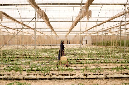 Agricultoras Mali