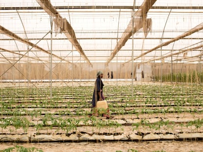 La agricultora Fone Coulibaly, en un invernadero de Katibougou, Malí.