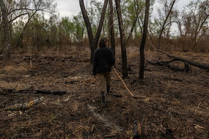 Durante los incendios, Fabian Ros, de 57 años, trabajó con la madera que rescataba de los árboles caídos, utilizando esos restos que sobrevivieron al fuego para convertirlas en hermosas piezas de jardinería y decoración. Tras sufrir un accidente en la fábrica donde trabajaba, decidió dejar atrás esa vida y se trasladó a las islas del Delta del Paraná. En la isla todos le conocen como 'el flaco'. En la imagen se le puede ver caminando por las tierras destruidas por el fuego.