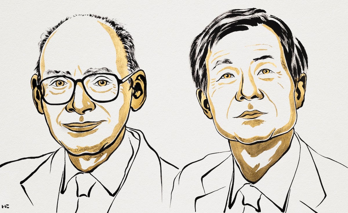 Premio Nobel de Química para Henri Kagan y Kenso Soai por arrojar luz en el misterio de las asimetrías de la naturaleza