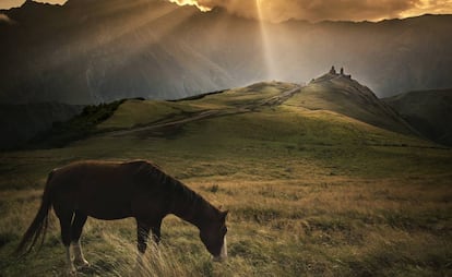 Un caballo en la región caucásica de Kazbegi (Georgia). Al fondo, la iglesia Tsminda Sameba.