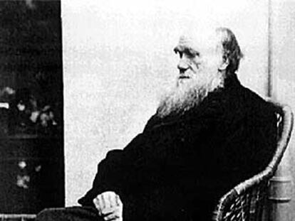 Charles Darwin (1809-1882), en sus últimos años.