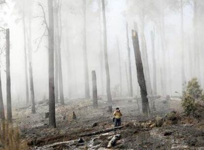 Imagen de un cortafuegos ayer en Realejos, Tenerife, tras el incendio que ha arrasado 3.000 hectáreas.