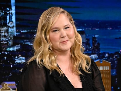 Amy Schumer