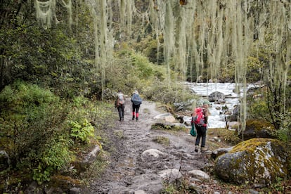 Senderistas recorriendo el camino junto al río Paro.