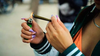 Zona de tolerancia Cannabica en la Glorieta violeta, en Ciudad de México.