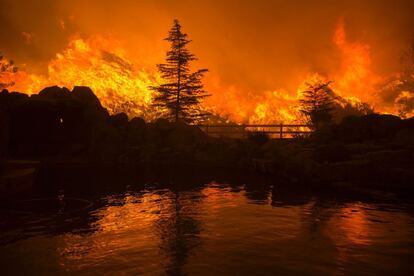 Este tipo de incendios son relativamente frecuentes últimamente debido a la sequedad de este verano, que ha dejado hierba y arbustos secos y altas temperaturas que agravan cualquier conato de incendio. En la imagen, las llamas se reflejan en el agua de una piscina cerca de Santa Clarita, California.