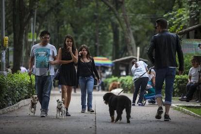 El Parque M&eacute;xico es emblem&aacute;tico de la Condesa. Rodeado de caf&eacute;s y restaurantes, es usado por los vecinos como el espacio p&uacute;blico para pasear a las mascotas, socializar y ejercitarse.