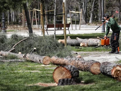 Restos de árboles cortados esta semana en El Retiro.